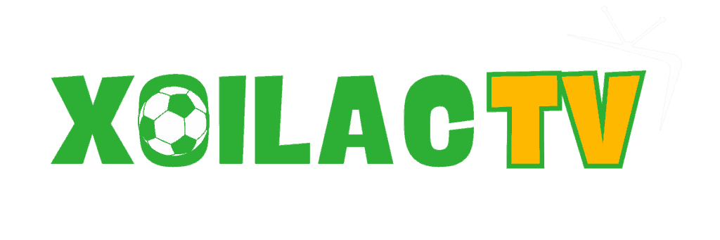 việc làm 24h hải phòng